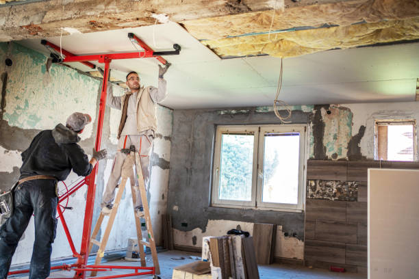 Best Eco-Friendly Insulation in East Cleveland, OH