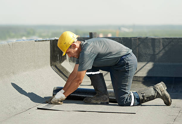 Best Cellulose Insulation in East Cleveland, OH